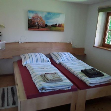 Bodensee Apartment Neukirch Wangener Strasse エクステリア 写真