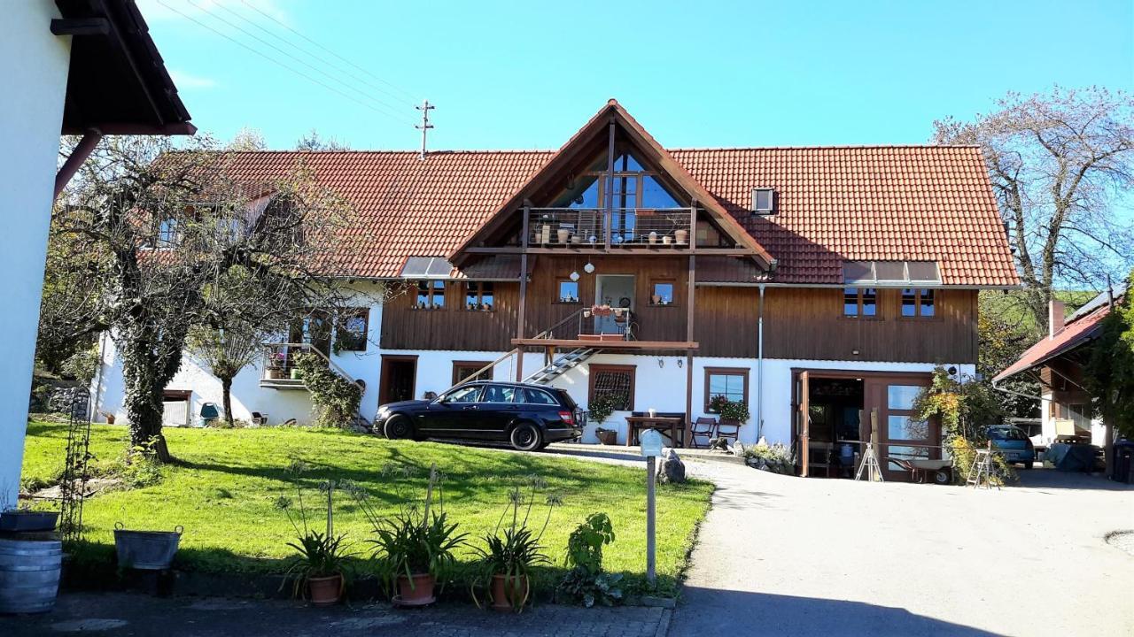 Bodensee Apartment Neukirch Wangener Strasse エクステリア 写真